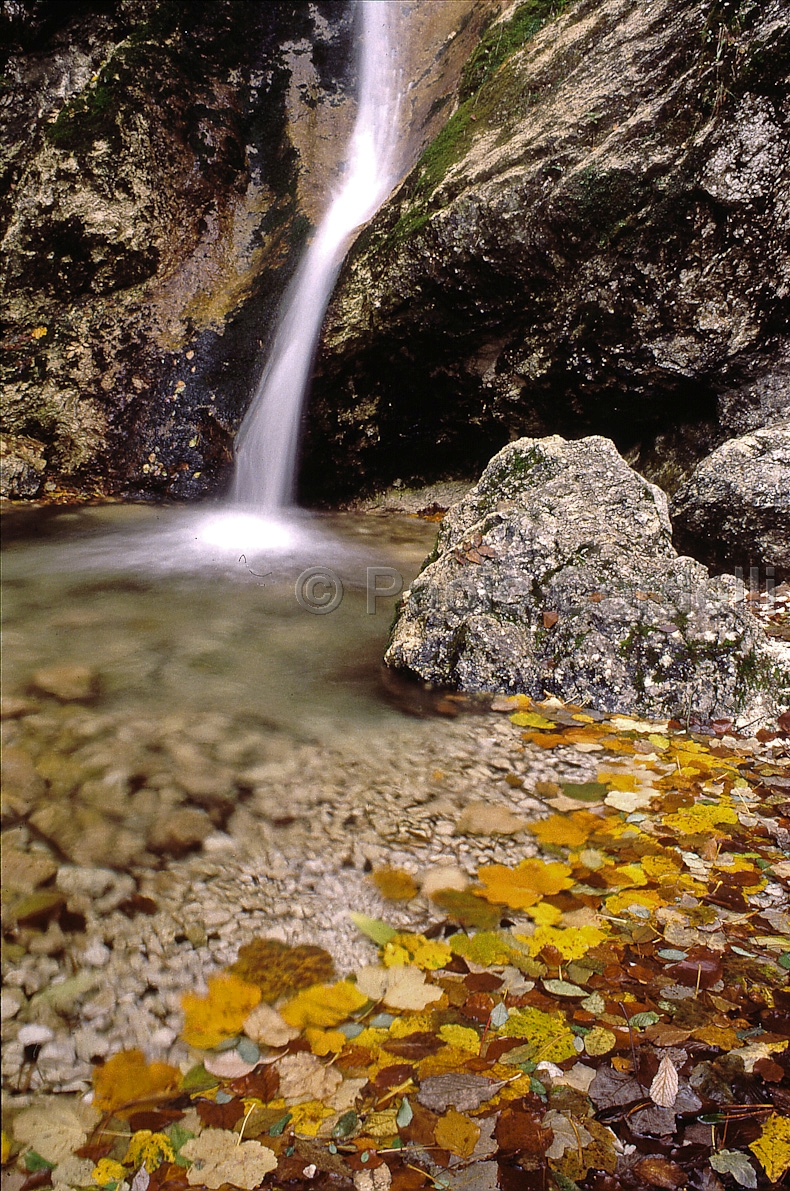 Abruzzo National Park, Abruzzo, Italy
 (cod:Abruzzo 05)